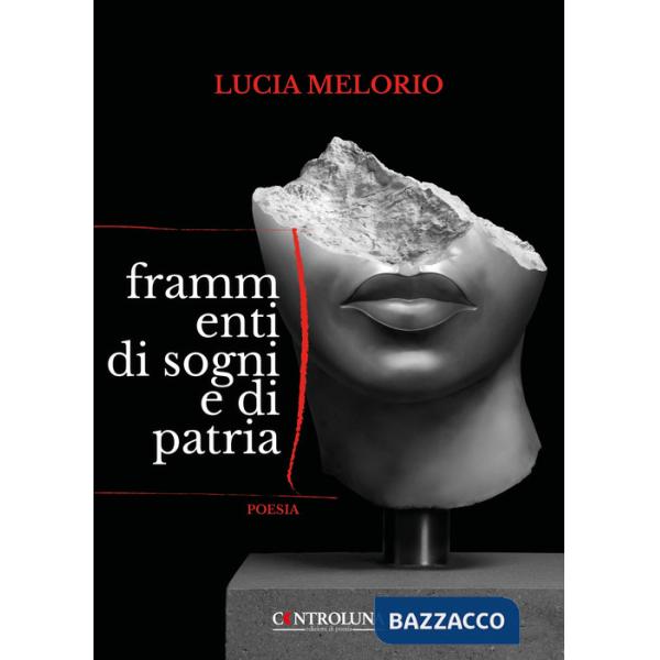 Frammenti di sogni e di patria