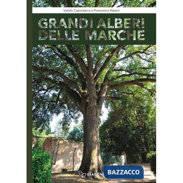 Grandi alberi delle Marche. Con Libro
