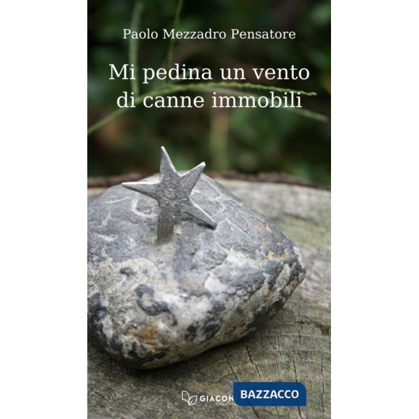 Mi pedina un vento di canne immobili