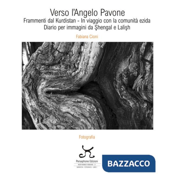 Verso l'Angelo Pavone. Frammenti dal Kurdistan - In viaggio con la comunità ezida. Diario per immagini da Shengal e Lalish