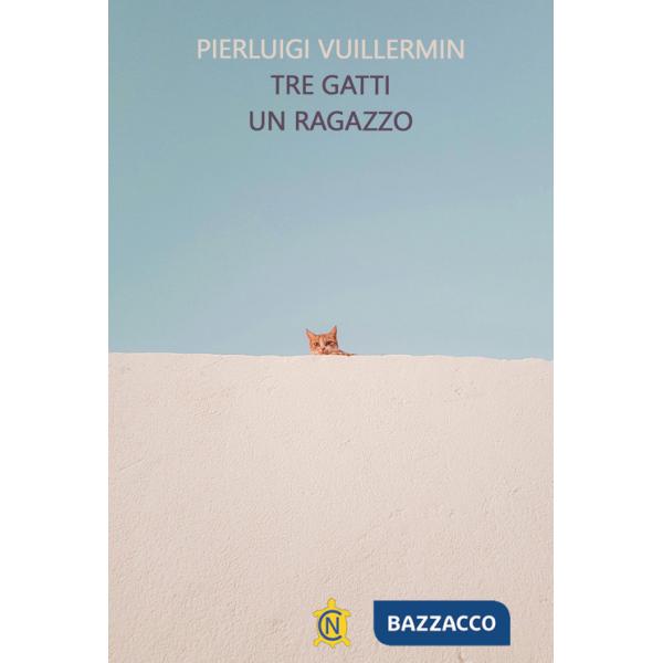 Tre gatti un ragazzo