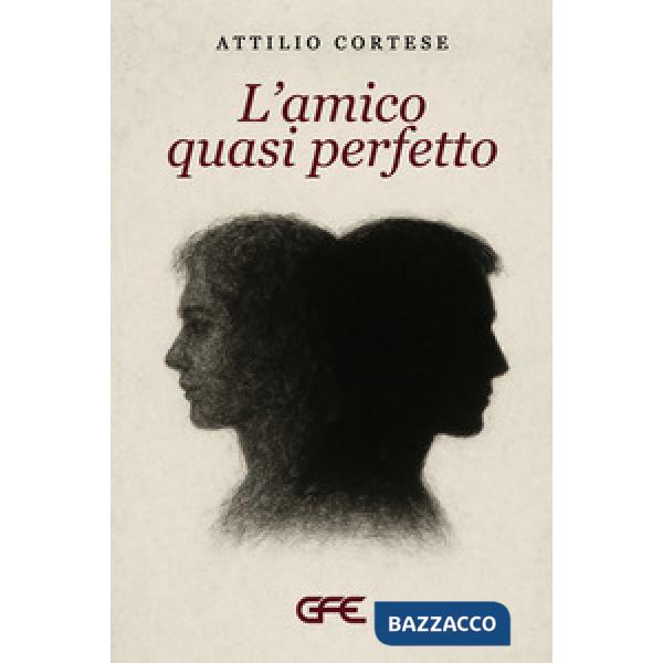 Amico quasi perfetto (L')