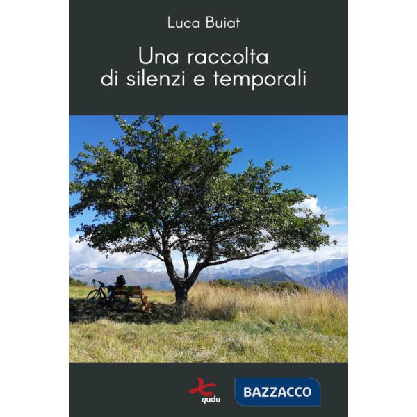 Raccolta di silenzi e temporali (Una)