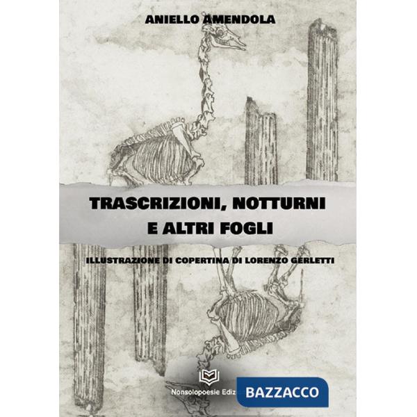 Trascrizioni, notturni ed altri fogli