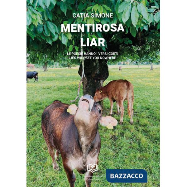 Mentirosa. Le poesie hanno i versi corti-Liar. Lies will get you nowhere