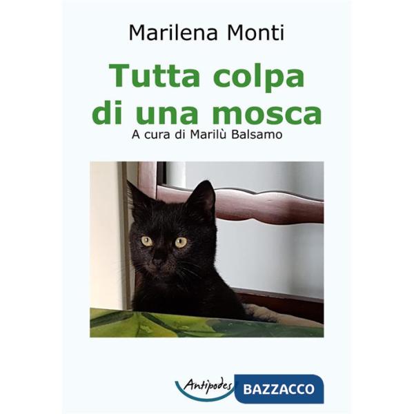 Tutta colpa di una mosca