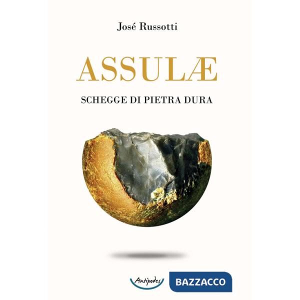 Assulæ. Schegge di pietra dura