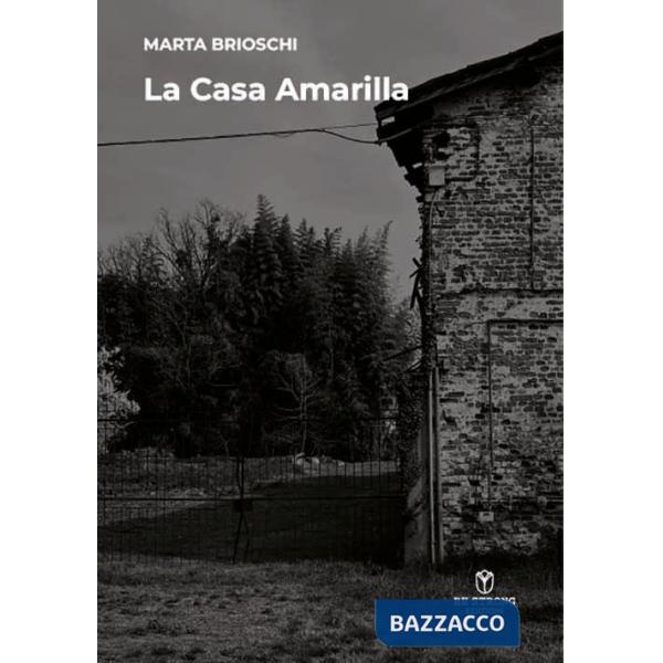 Casa amarilla (La)
