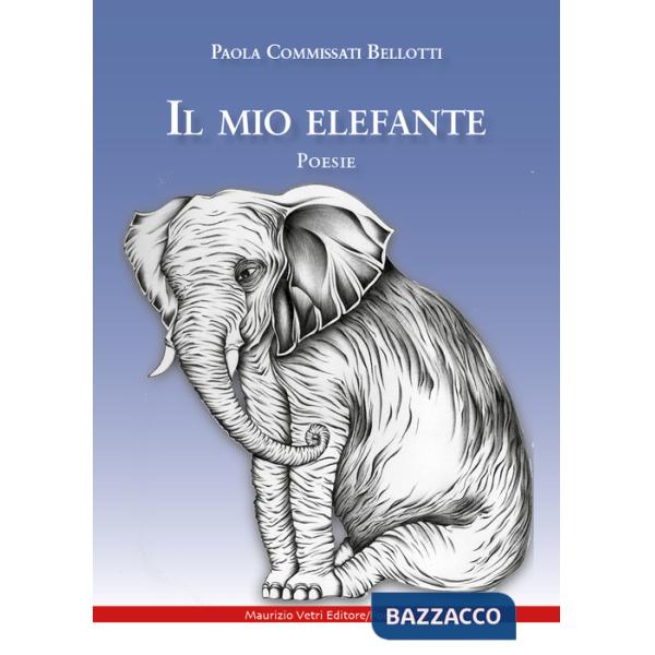 Mio elefante (Il)