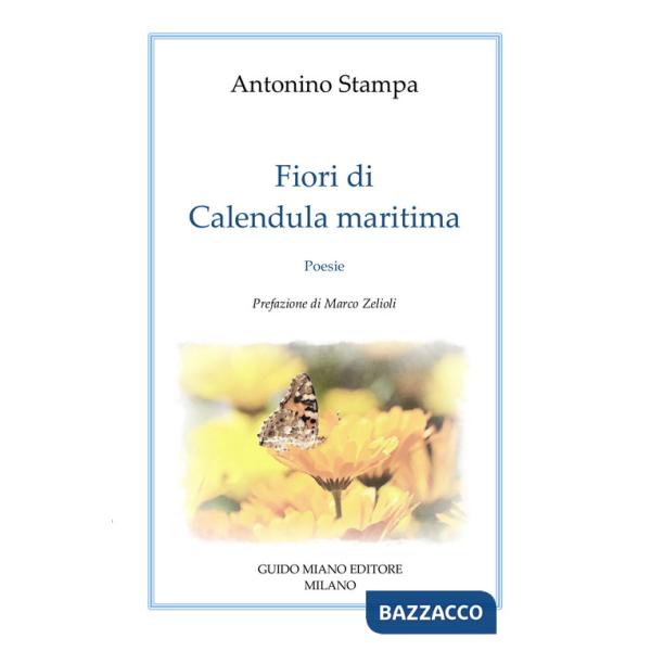 Fiori di Calendula Maritima