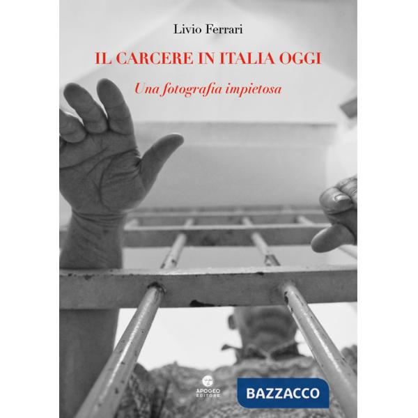 Carcere in Italia oggi. Una fotografia impietosa (Il)