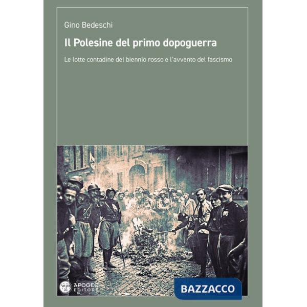 Polesine del primo dopoguerra. Le lotte contadine del biennio rosso e l'avvento del fascismo (Il)