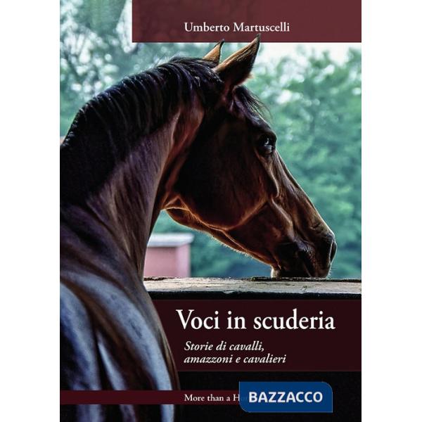 Voci in scuderia. Storie di cavalli, amazzoni e cavalieri