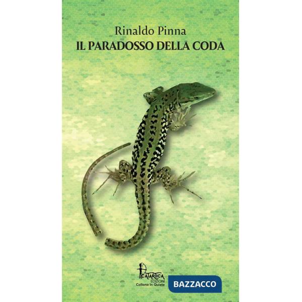 Paradosso della coda (Il)