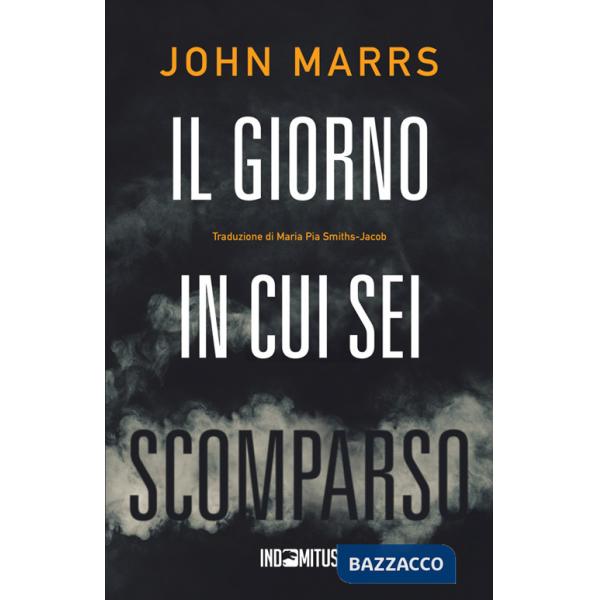 Giorno in cui sei scomparso (Il)