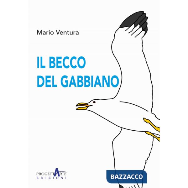 Becco del gabbiano (Il)