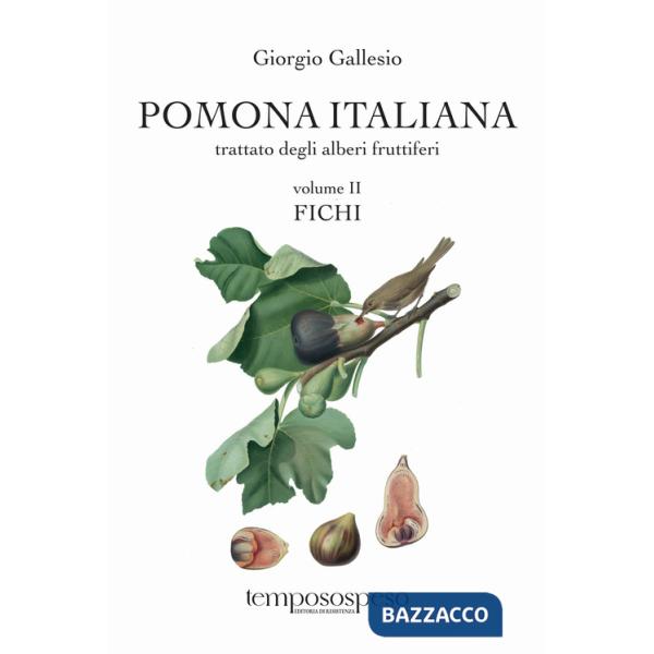 Pomona italiana ossia Trattato degli alberi fruttiferi. Vol. 2: Fichi