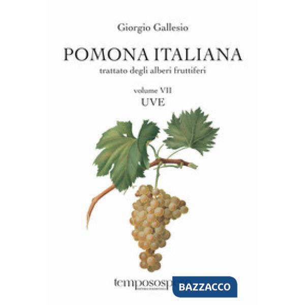 Pomona italiana ossia Trattato degli alberi fruttiferi. Vol. 7: Uve