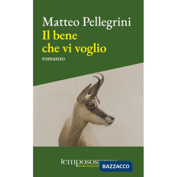 Bene che vi voglio (Il)