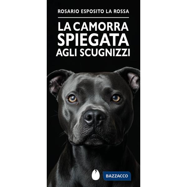 Camorra spiegata agli scugnizzi (La)