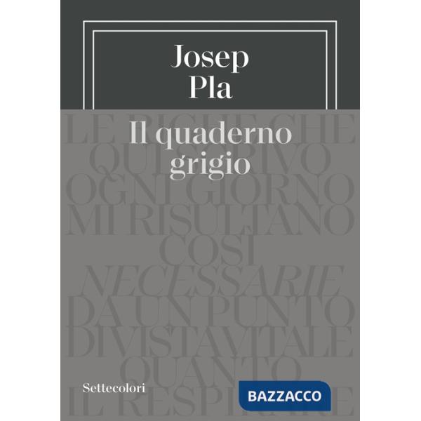 Quaderno grigio (Il)