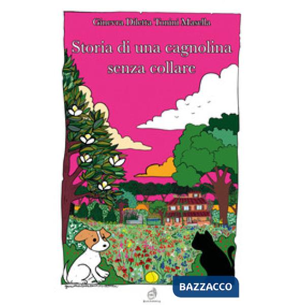 Storia di una cagnolina senza collare