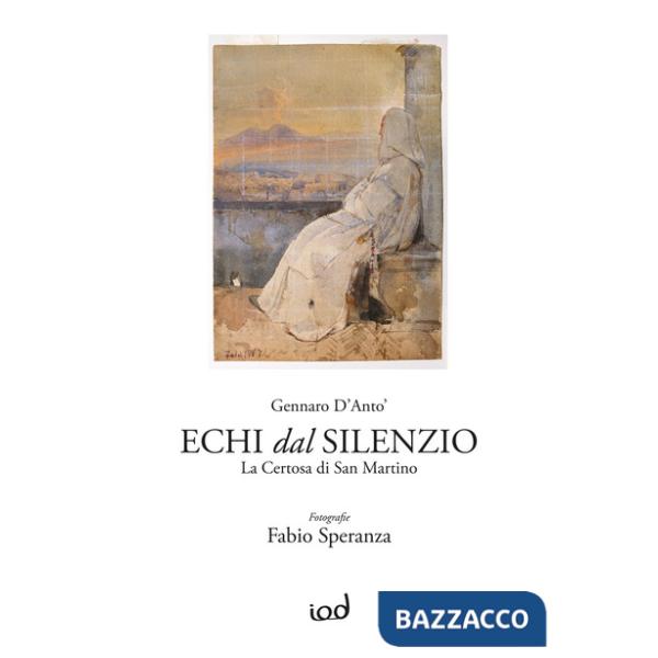 Echi dal silenzio. La Certosa di San Martino. Ediz. illustrata