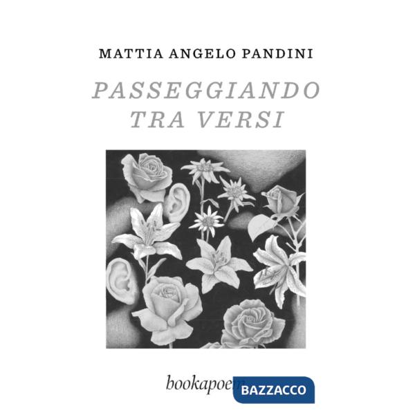 Passeggiando tra versi