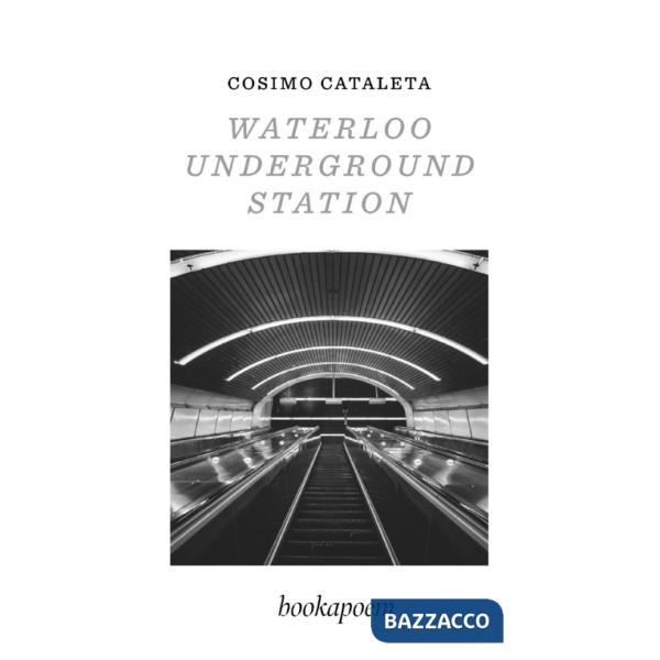 Waterloo Underground Station