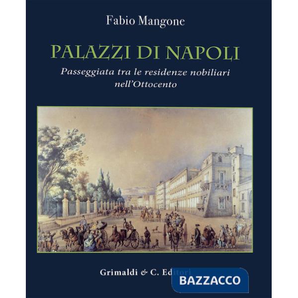 Palazzi di Napoli. Passeggiata tra le residenze nobiliari nell'Ottocento. Ediz. a colori