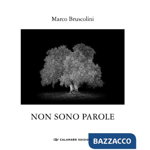 Non sono parole. Quasi un rifugio dall'ansia della xylella. Ediz. illustrata