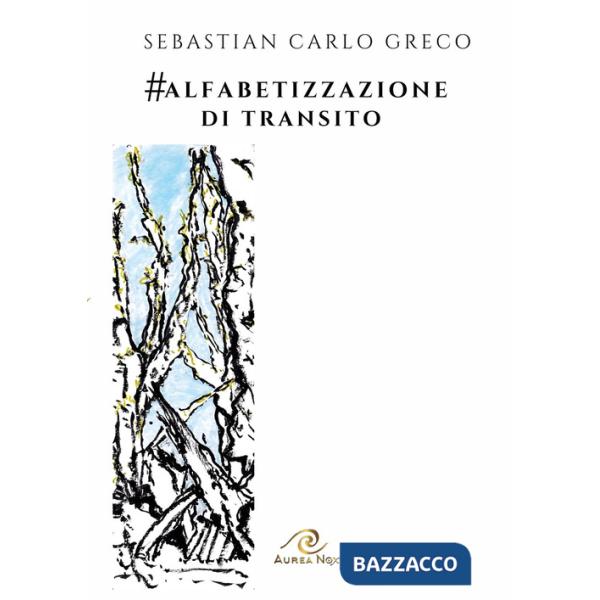 Alfabetizzazione di transito