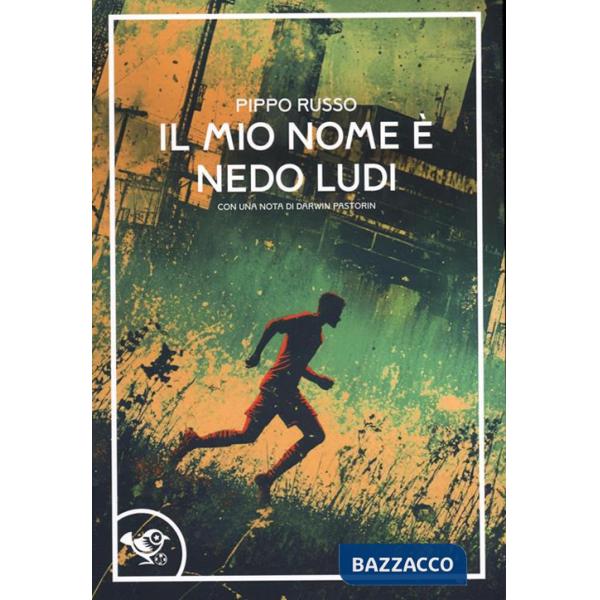 Mio nome è Nedo Ludi (Il)