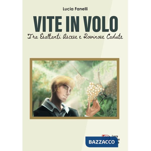 Vite in volo. Tra esaltanti ascese e rovinose cadute