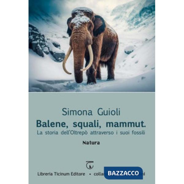 Balene, squali, mammut. La storia dell'Oltrepò attraverso i suoi fossili