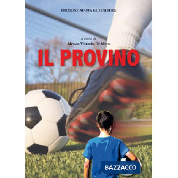 Il provino
