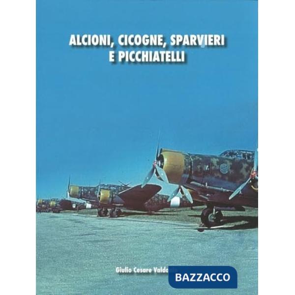 Alcioni, cicogne, sparvieri e picchiatelli. Storia critica dei bombardieri italiani