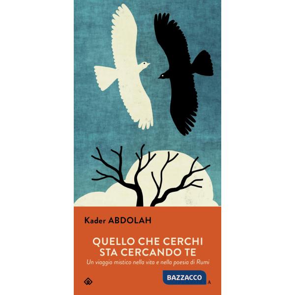 Quello che cerchi sta cercando te. Un viaggio mistico nella vita e nella poesia di Rumi