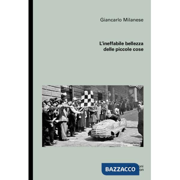 Ineffabile bellezza delle piccole cose (L')