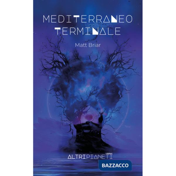 Mediterraneo terminale