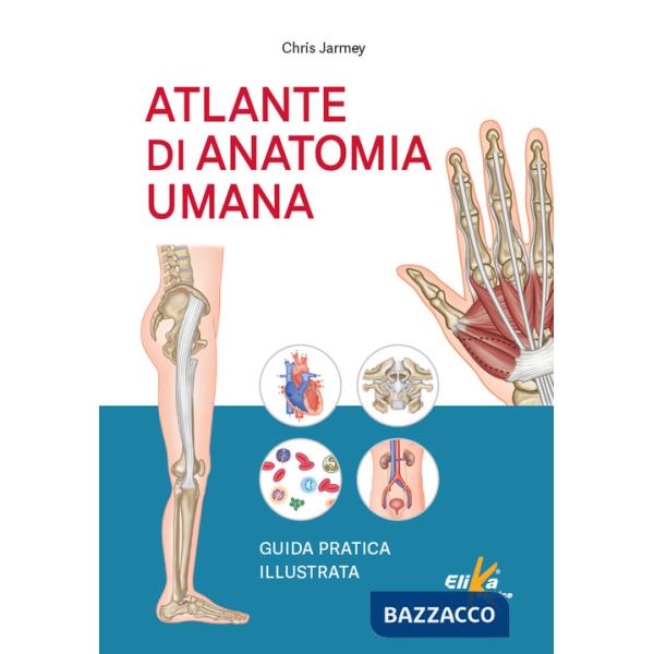 Atlante di anatomia umana. Guida pratica illustrata. Ediz. a colori