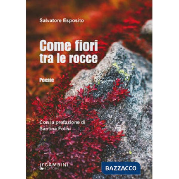 Come fiori tra le rocce