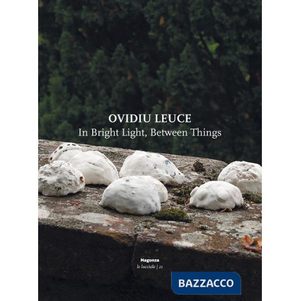 Ovidiu Leuce. In bright light, between things. Ediz. italiana e inglese