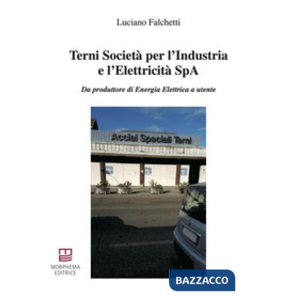 Terni Società per l'Industria e l'Elettricità SpA. Da produttore di energia elettrica a utente
