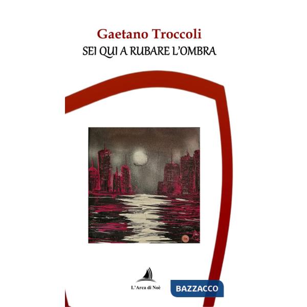 Sei qui a rubare l'ombra