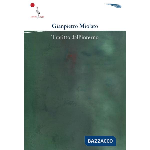 Trafitto dall'interno. Nuova ediz.