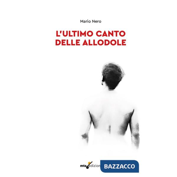 Ultimo canto delle allodole (L')