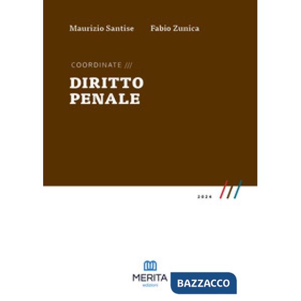 Coordinate. Diritto penale 2024