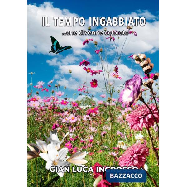 Tempo ingabbiato ...che divenne colorato (Il)