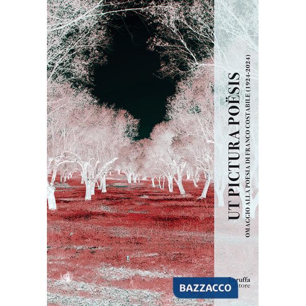 «Ut pictura poësis». Omaggio alla poesia di Franco Costabile nel centenario della nascita (1924-2024). Catalogo della mostra